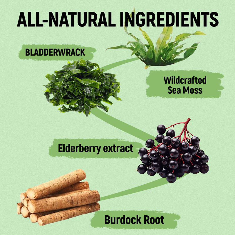 Море мох жвачки с витамином С Цинк поставщик фабрика для антиоксидантной поддержки