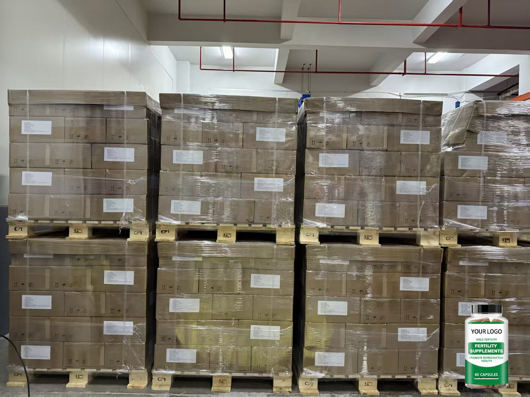 Private Label Male Fertility Capsules for Reproductive Health 60-count Herbal Supplement