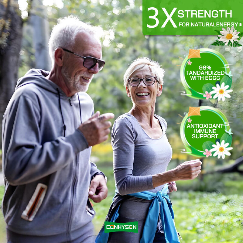 Капсулы с зеленым чаем для частных торговых марок, богатые EGCG, добавка для поддержки иммунитета, антиоксидант, для похудения, сжигатель жира